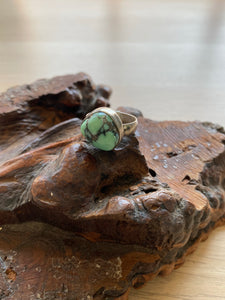 New Lander turquoise ring